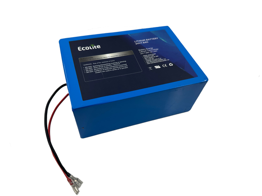 품질  24V 7.8Ah Protable Lithium Titanate LTO Battery Pack For Solar Tracker With BMS 공장