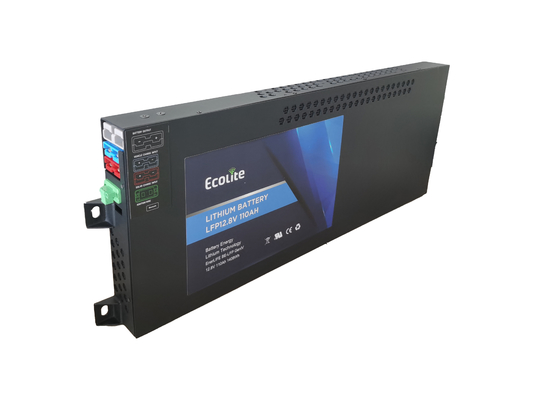 가벼운 LiFePO4 12V 110Ah RV 리?? 철화강 배터리 LED 디스플레이