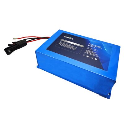 ECOLFP2409 25.6V 9Ah 중용량 LFP 태양광 추적기 배터리 (향상된 런타임을 위한 통합 MPPT 포함)